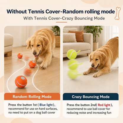 DuraSpin - Self-Rolling Dog Ball